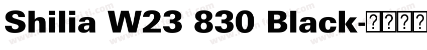 Shilia W23 830 Black字体转换